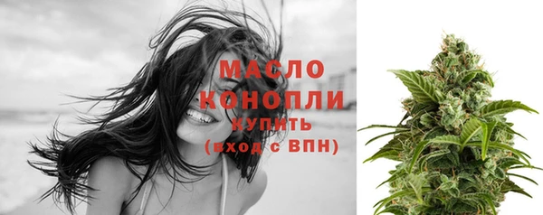 молекула духа Нягань