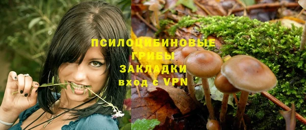 MDMA Няндома