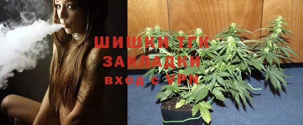 хмурый Новозыбков
