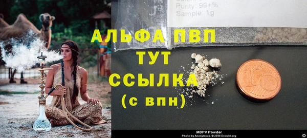 молекула духа Нягань