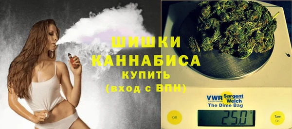 хмурый Новозыбков