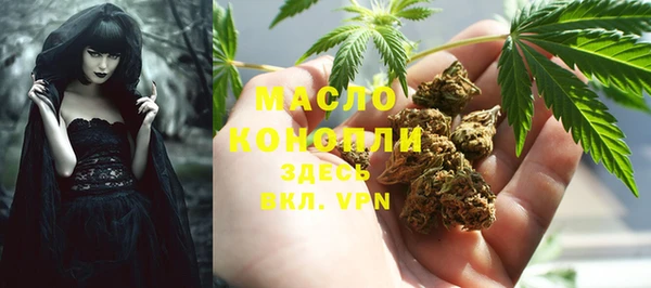 хмурый Новозыбков