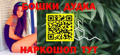 молекула духа Камышлов