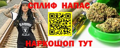 молекула духа Камышлов