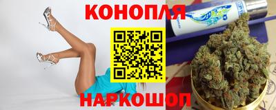 молекула духа Камышлов
