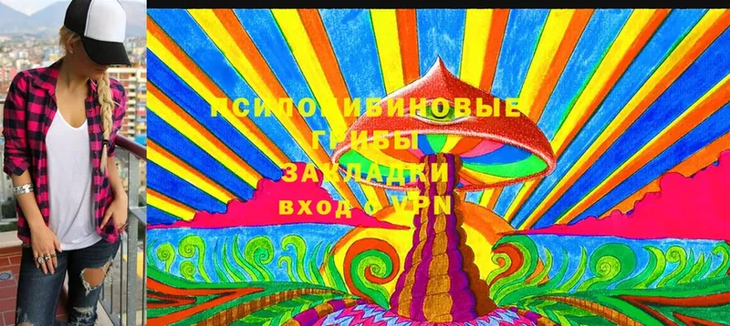 Псилоцибиновые грибы GOLDEN TEACHER  Кулебаки 