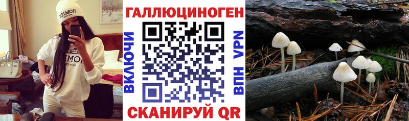 нарко площадка формула  как найти закладки  Кулебаки  Галлюциногенные грибы Cubensis 