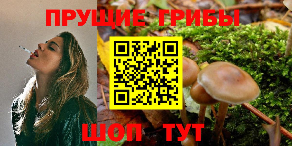 Галлюциногенные грибы прущие грибы  Вход с VPN  Кулебаки  Галлюциногенные грибы Psilocybe 