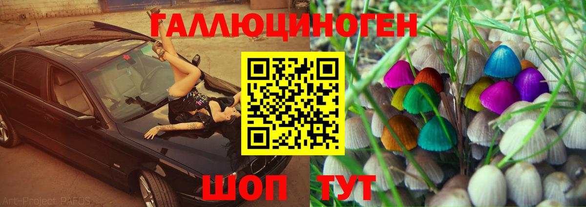 Псилоцибиновые грибы Psilocybine cubensis Кулебаки
